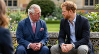 King Charles Prince Harry Meeting